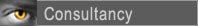 Consultancy